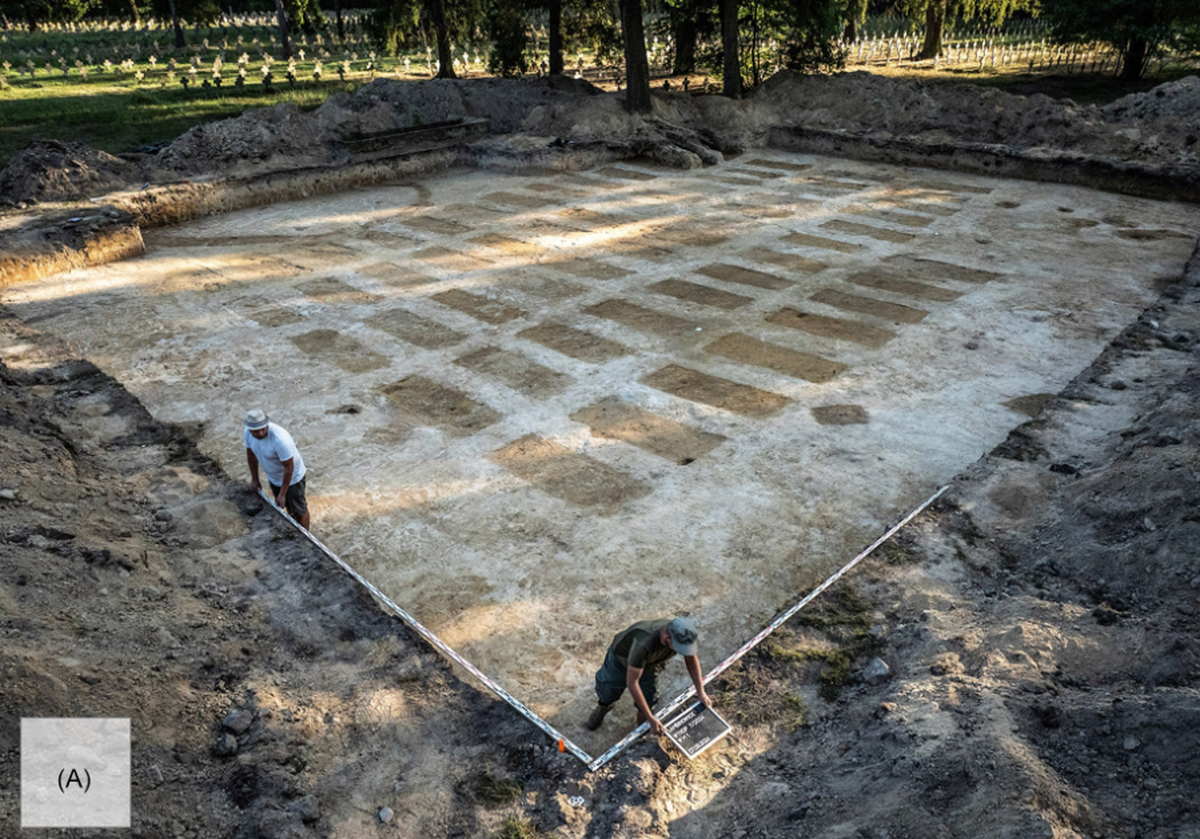 Five dozen graves were found arranged in neat rows.