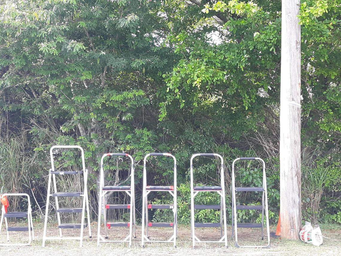 The second stepladder from the left, the tallest of the bunch, has been used by politicians who want to take a look at the children’s immigration shelter across the street in Homestead.