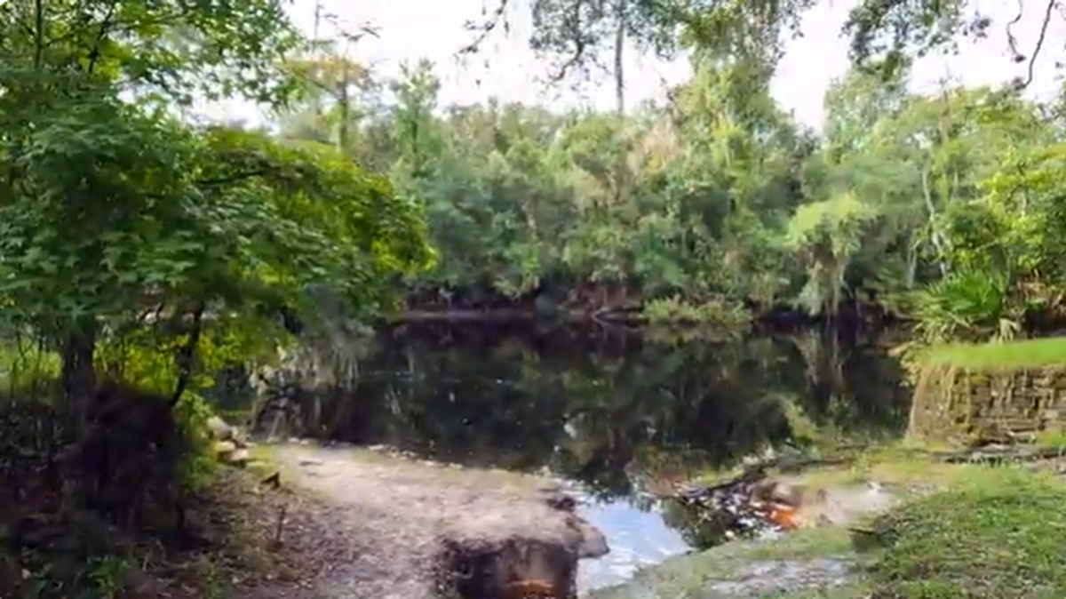 El Bosque Estatal Withlacoochee abarca 164,073 acres en los condados Citrus, Hernando, Lake, Pasco y Sumter, informa el estado. Está unas 50 millas al norte de Tampa.