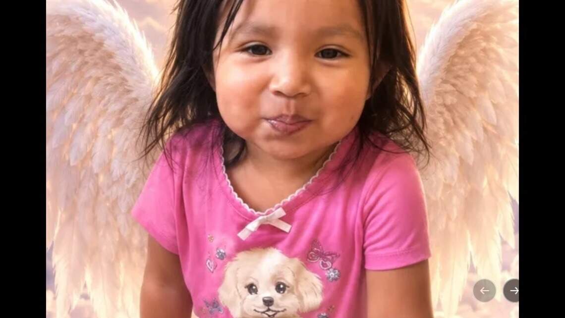 Family of Hallandale Beach girl who died in hot car blames babysitter’s decision