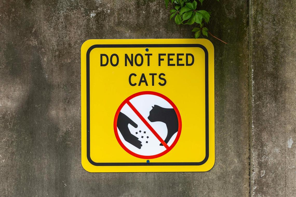 A sign reads “DO NOT FEED CATS” near a Lowe’s parking lot on Monday, May 19, 2025, in Kendall in Miami-Dade County.