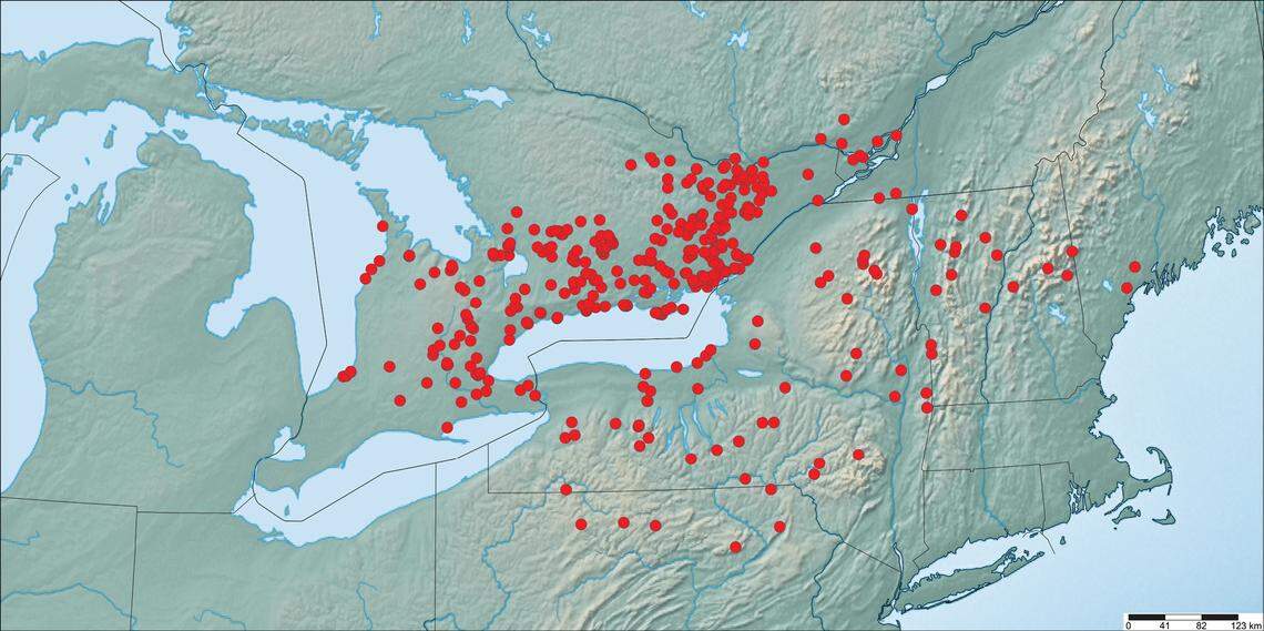 The butterflies are found throughout the northeast and into Canada.
