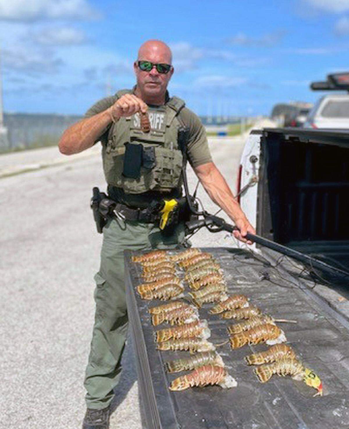 Monroe County Sheriff’s Office Deputy Willie Guerra holds an undersized Florida spiny lobster tail Monday, June 12, 2023, in the Florida Keys.