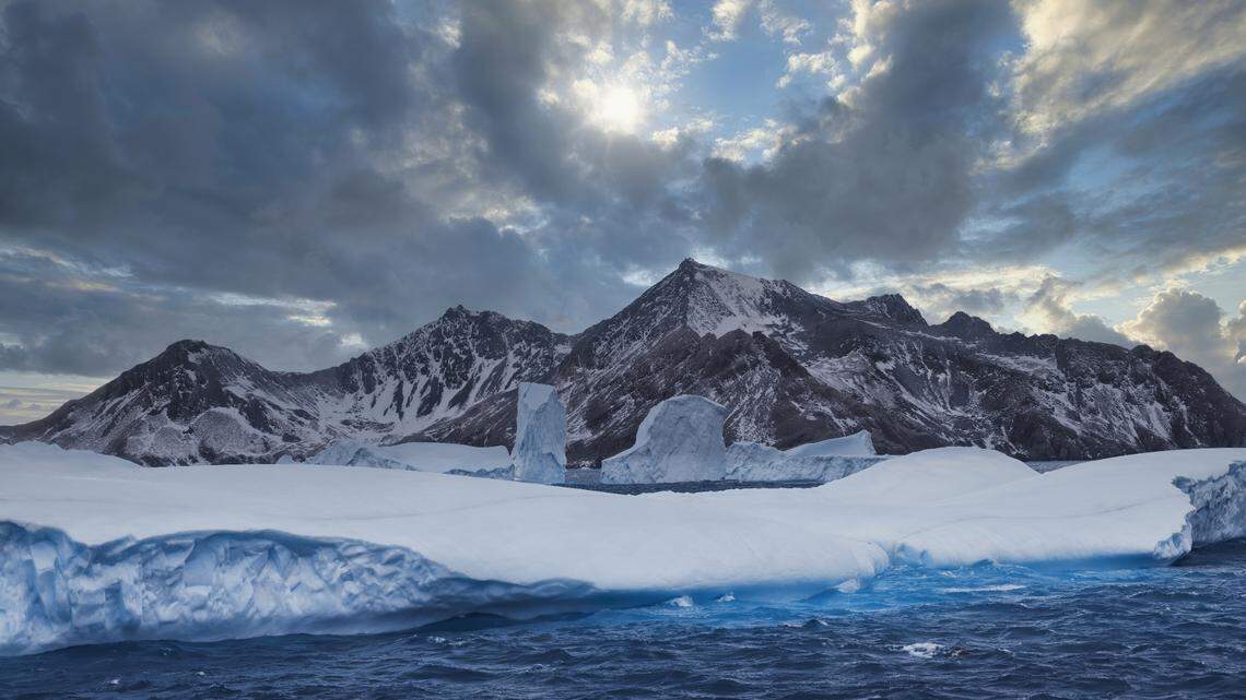 The animal was spotted off the remote South Sandwich Islands near Antarctica, researchers said.