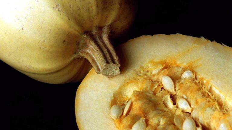 Centre County producers give tips for buying, cooking pumpkins and squash this fall