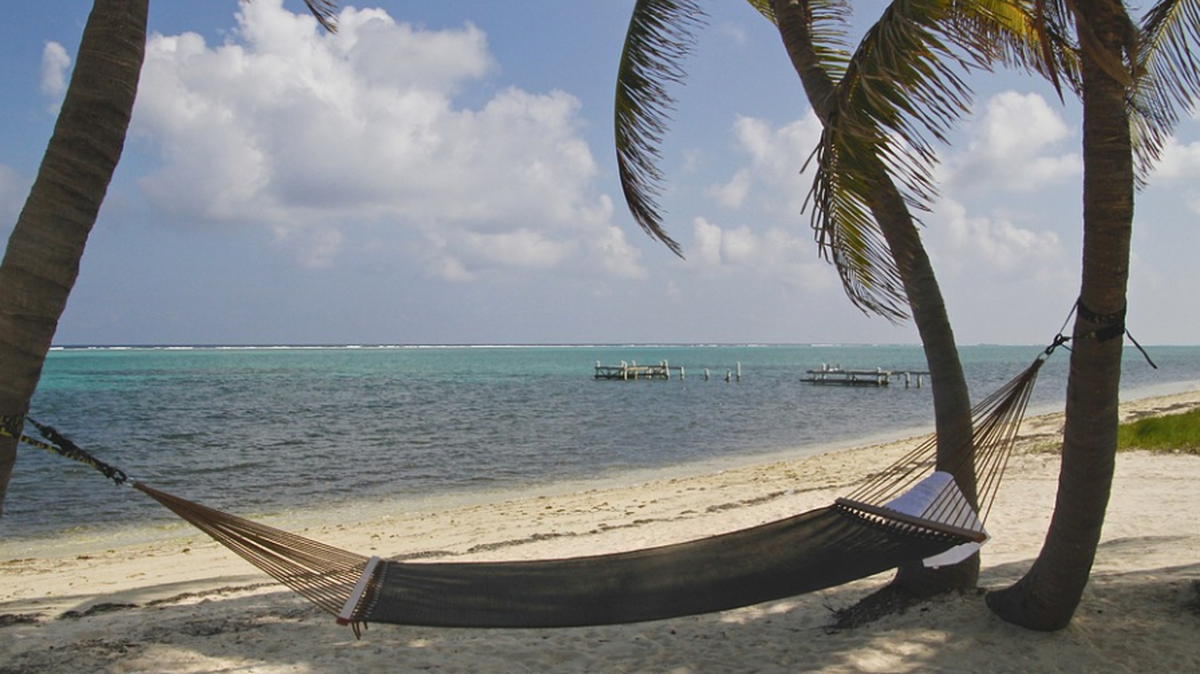 Hammock file photo