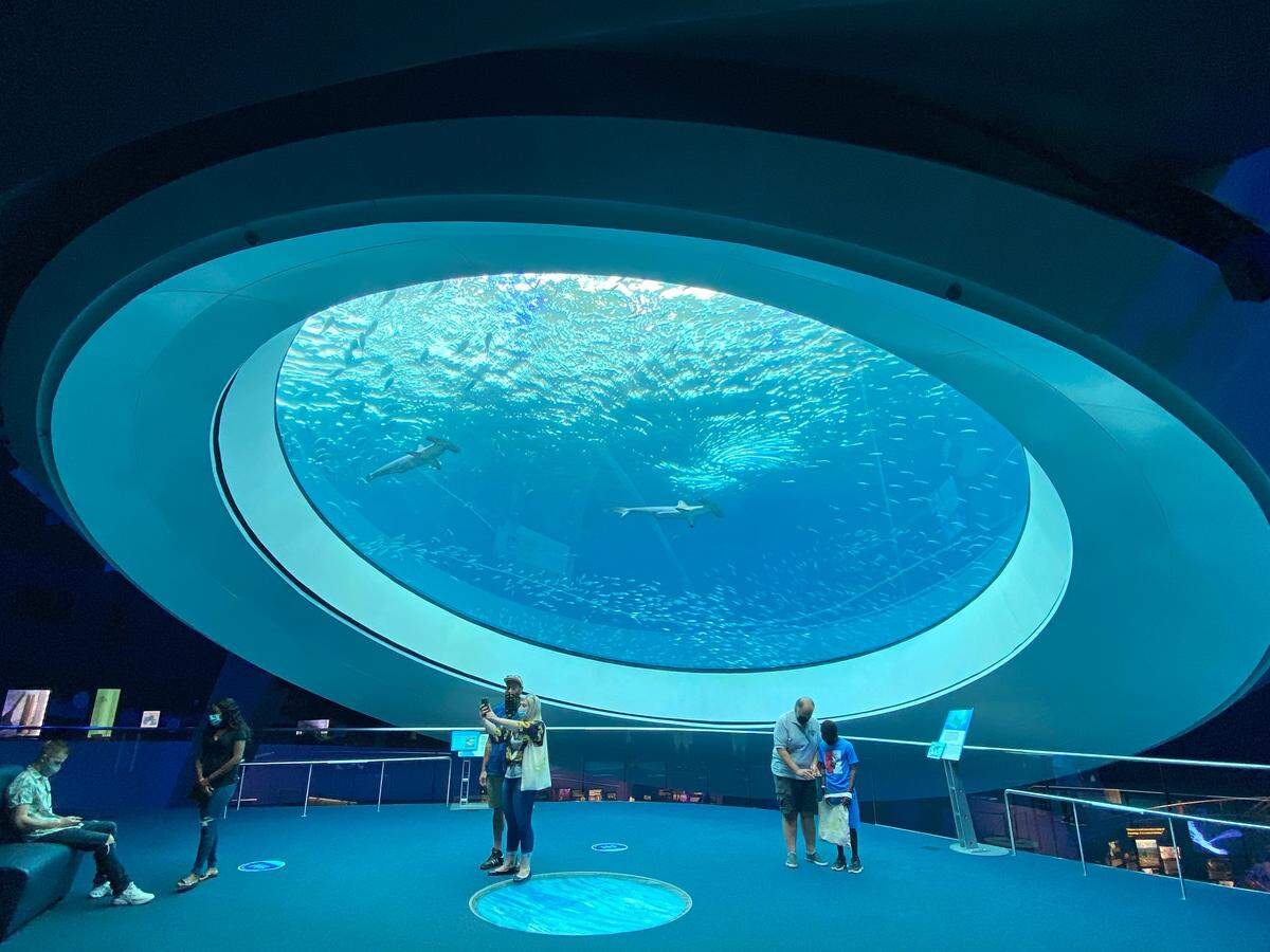 Visitors practice social distancing under the Oculus at the Frost Museum of Science, which reopened in June after a three-month shutdown prompted by the COVID-19 pandemic.