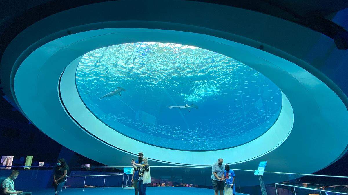 Masked visitors practice social distancing under the Oculus at the Frost Museum of Science, which reopened in June 2020 after a three-month shutdown prompted by the COVID-19 pandemic.