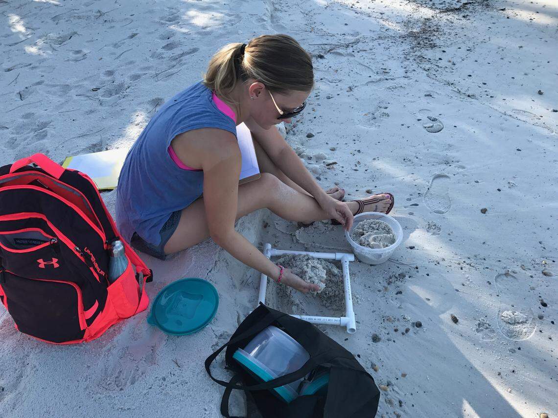 Florida State University researcher Victoria Beckwith samples sand at key locations on Gulf Coast beaches where loggerhead turtles nest for signs of microplastics.