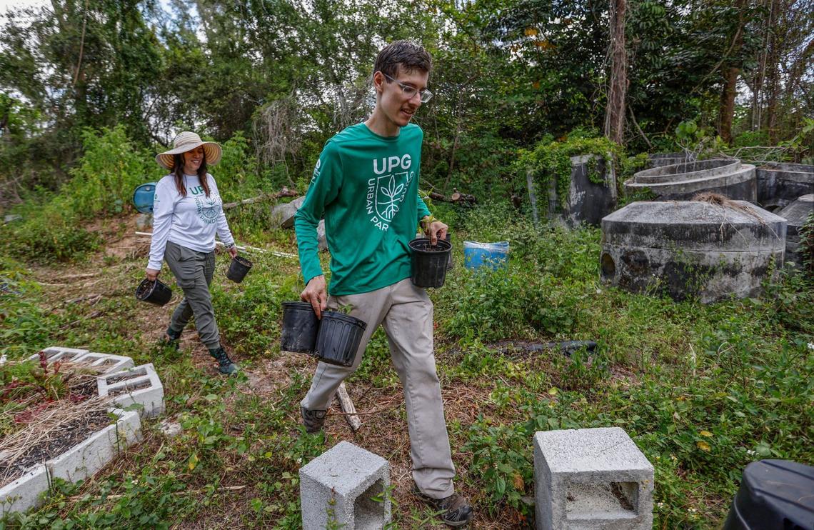Climate apprentice Nikolas Tsaoussis and executive director Jackeline Bonilla for the Urban Paradise Guild of Miami help reclaim an area of invasive jungle and turn it into an educational center for research and science at the UPG Amelia Garden Center at Amelia Earhart Park in Hialeah on Friday, April 26, 2024