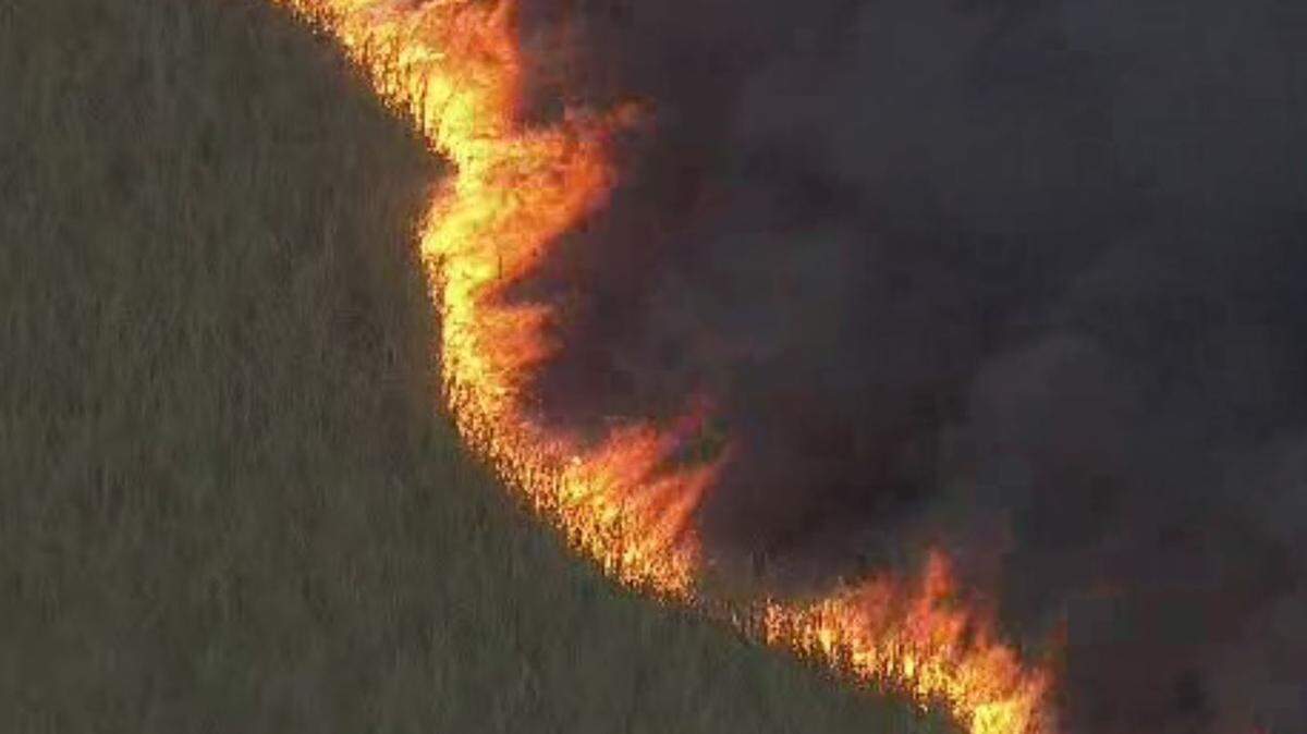 Everglades Brush fire