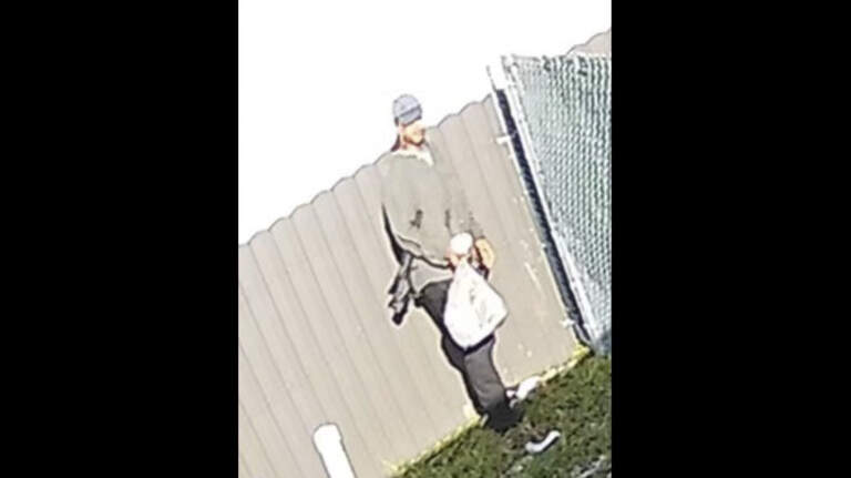 Pembroke Pines police looking for man who stomped duck to death