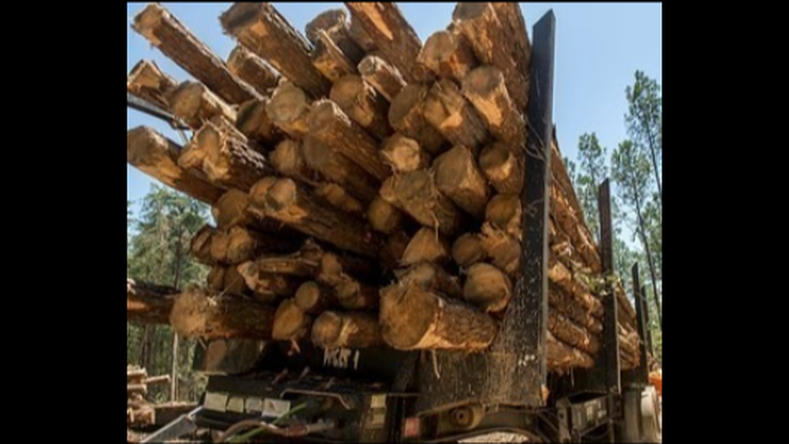A Florida woman was killed when she ran into the logs on the back of a trailer similar to this one, the Florida Highway Patrol reports.