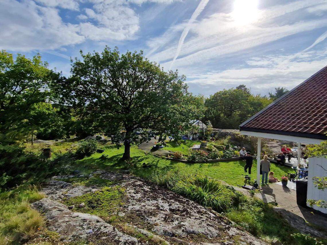 The family’s garden where the Viking artifact and grave were found.