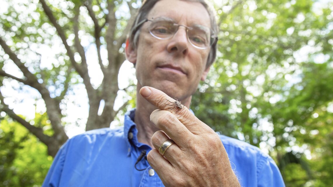 After 10 years in office, one of Miami-Dade’s greenest mayors is moving on