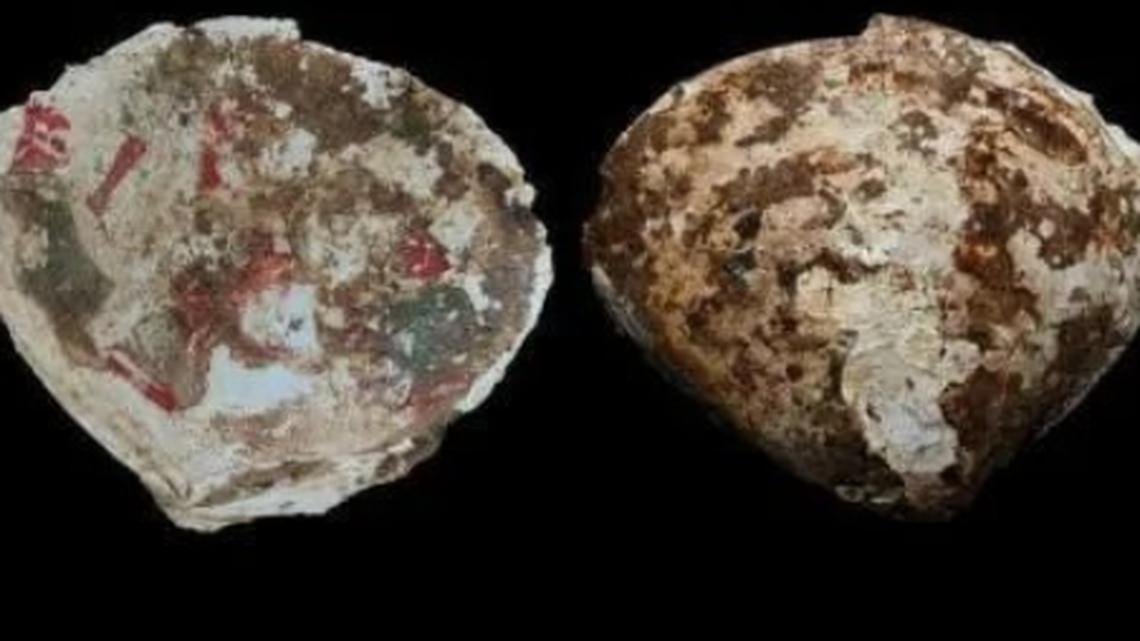 Ancient shells discovered in Chinese tomb were painted, and now have been reconstructed.