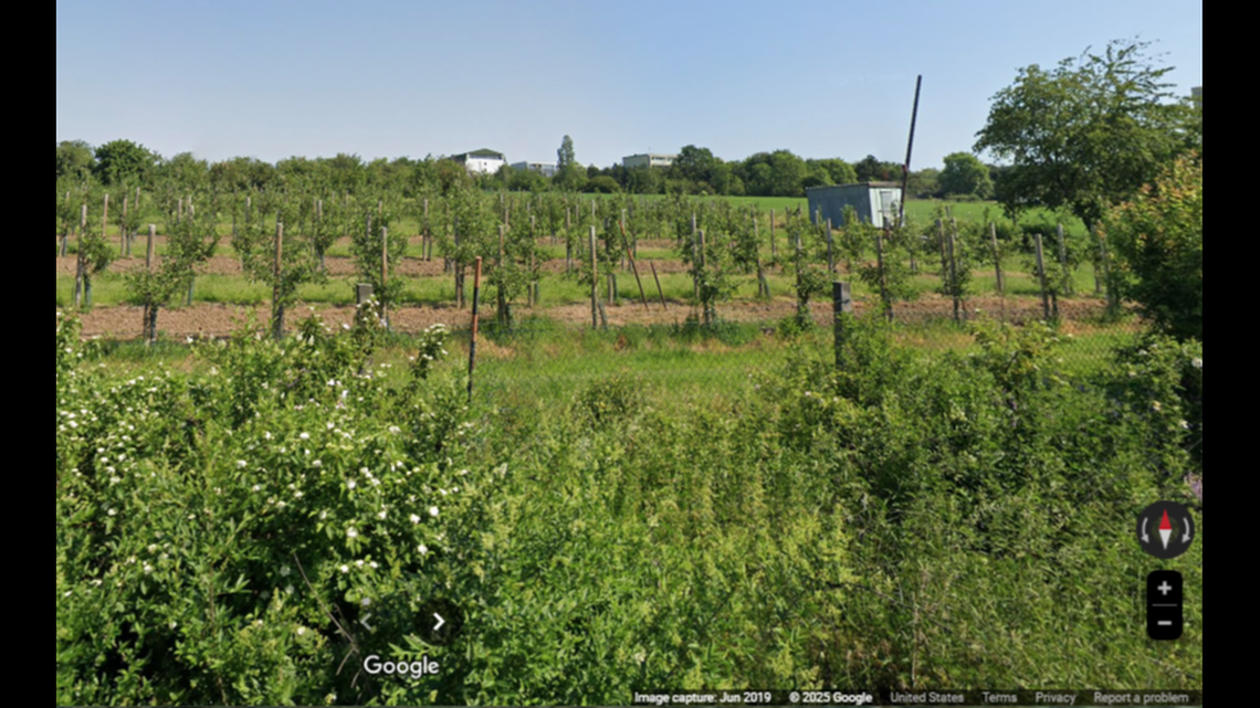 At an agricultural research center in Czechia, a new species that doesn’t need a mate to reproduce was discovered.