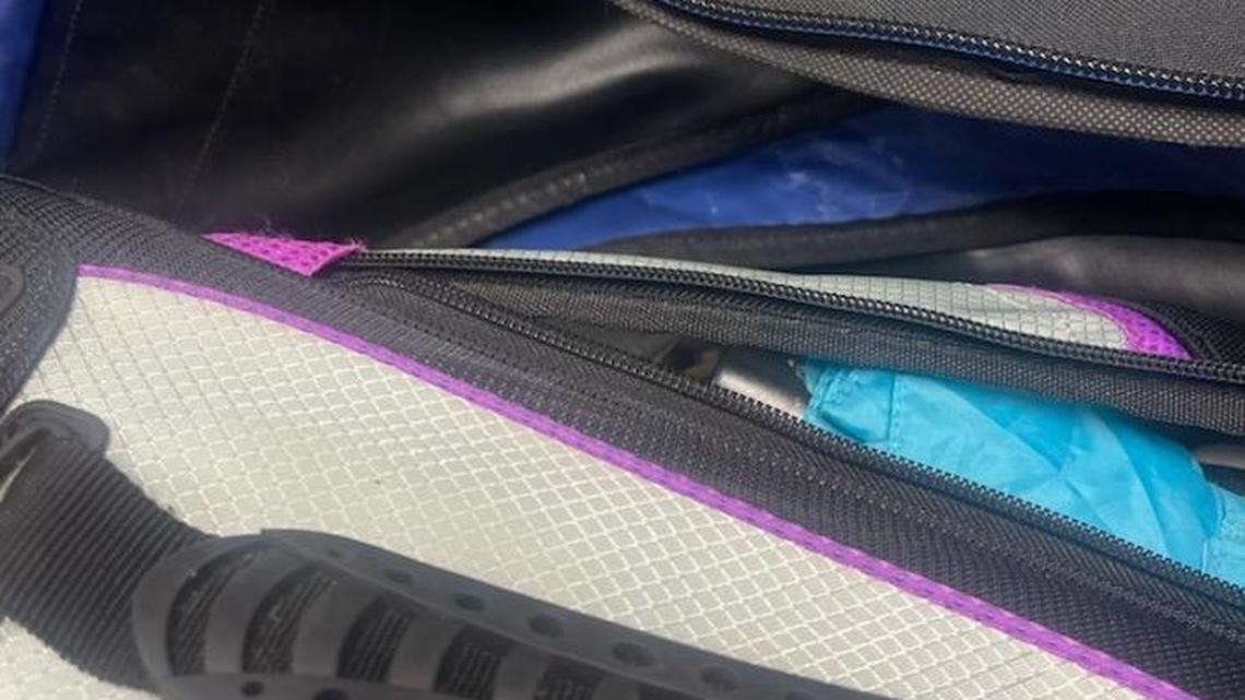 This critter hopped out of a checked bag after triggering an alarm at Harrisburg International Airport, authorities said.