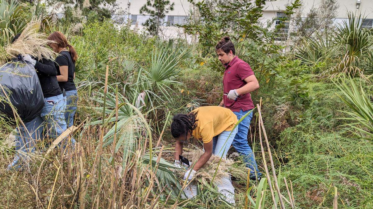 Robert Morgan Educational Center students enjoy caring for the pineland preserve next to their school. But first it took years of organization. 