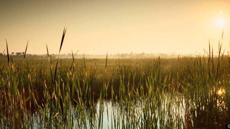 Expedition retraces a legendary explorer’s travels through the once-pristine Everglades