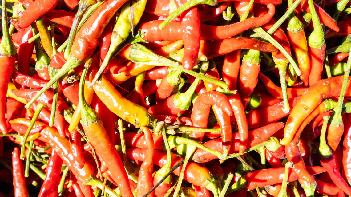 Chamoy, Tamarind and Chili Lime: How ‘swangy’ became the flavor profile Gen Z can’t stop craving