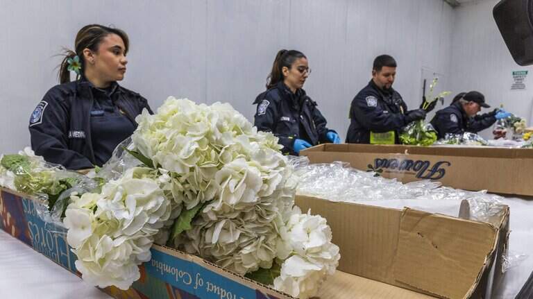 Want to get your flowers or fish faster? MIA to make cargo run smoother