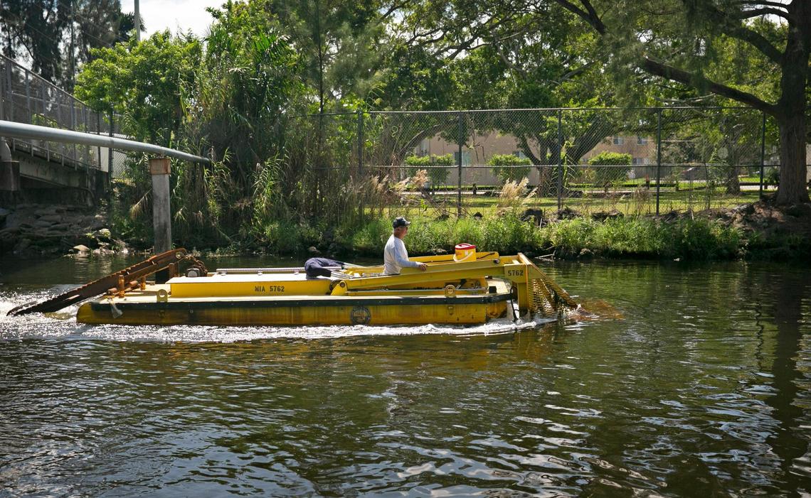 The South Florida Water Management District increased cleanings of the Little River over the past few years as more trash has been dumped in the waterway, one of Miami’s four original rivers.