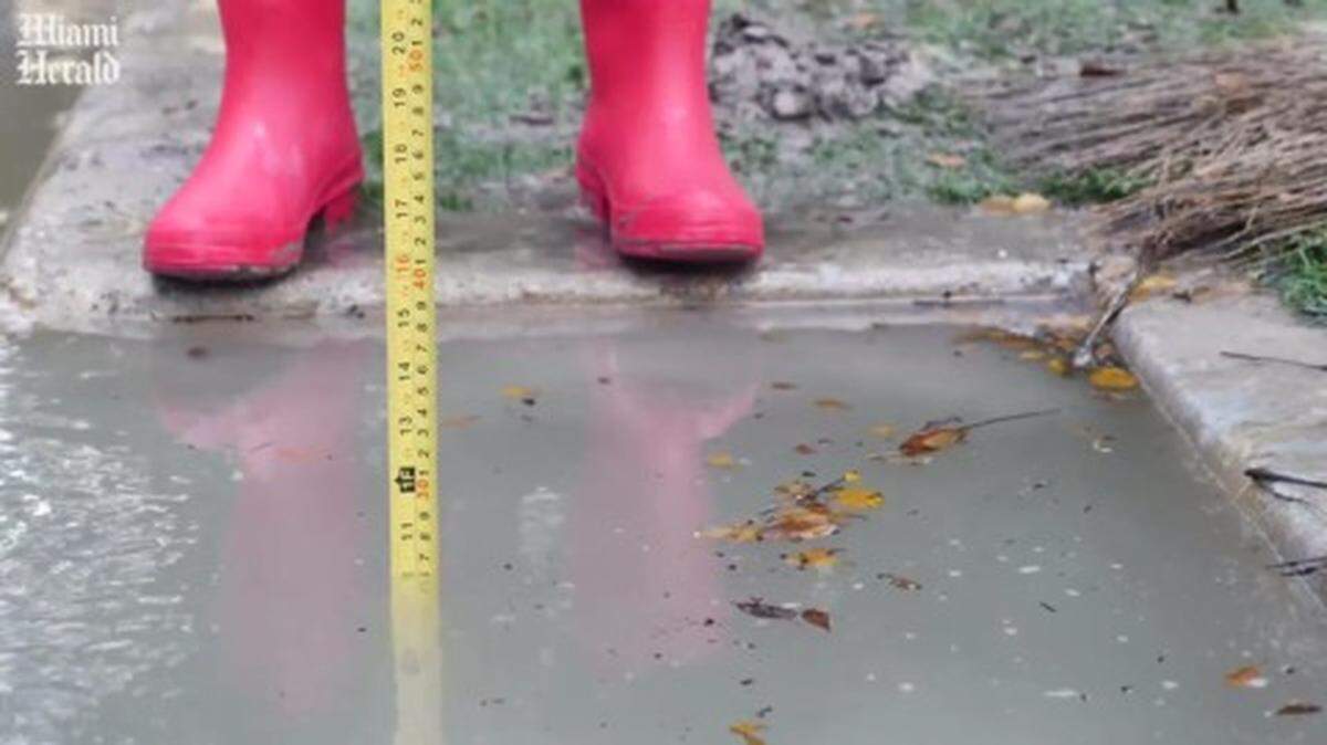 in September 2019, volunteers go to flood zones in Miami-Dade County to measure water depth and quality as part of Sea Level Solutions Day.