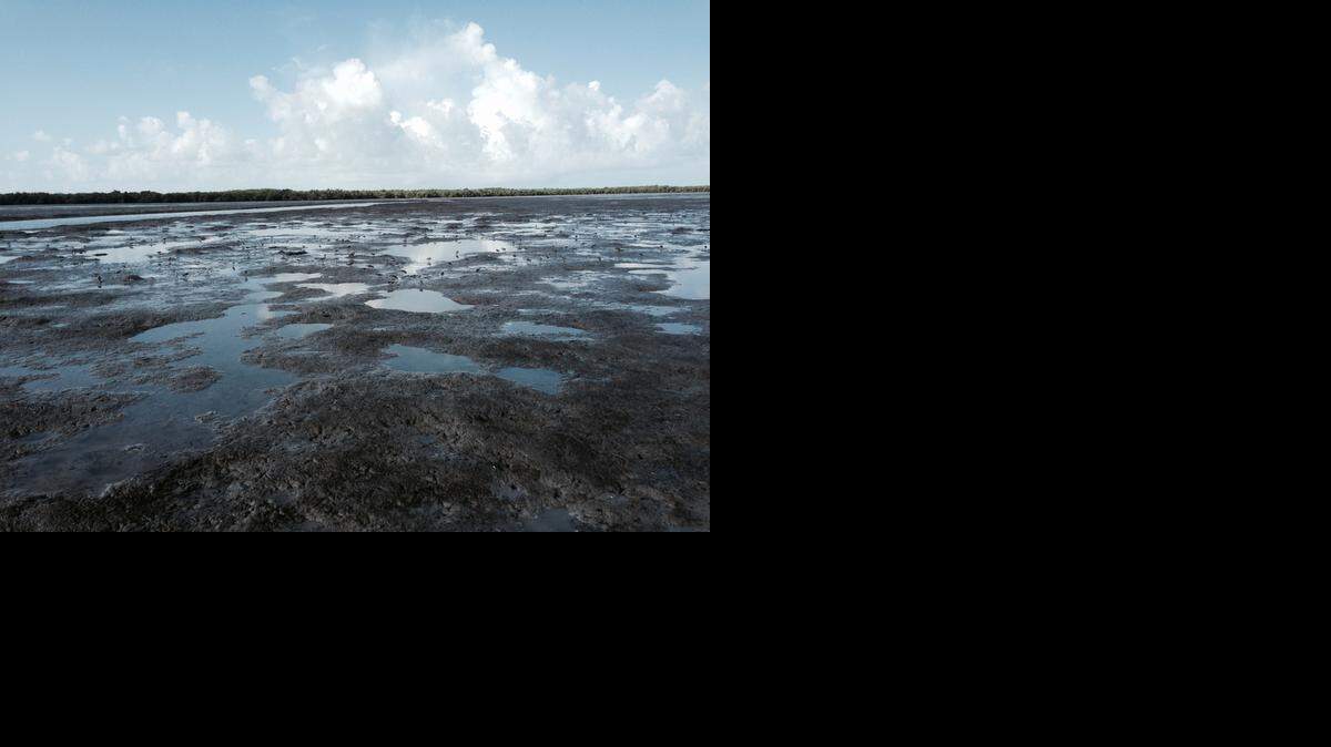 
Sediment carried into Lake Ingraham by canals dredged a century ago at Cape Sable are gradually filling the lake with acres of mud flats.
