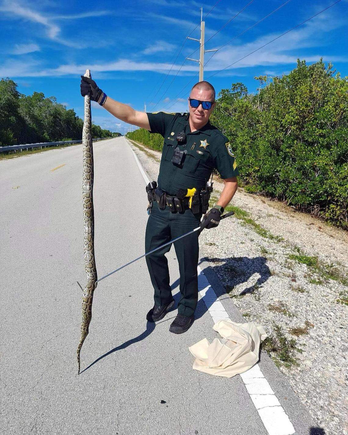 Monroe County Sheriff’s Office Sgt. James Hager holds an 8-foot-long Burmese python he found along U.S. 1 in Key Largo.
