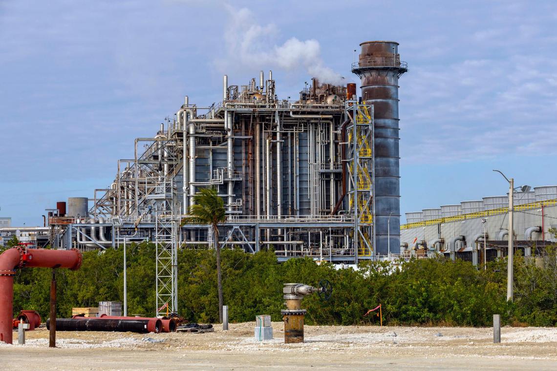 A natural gas burning facility and the adjacent cooling towers can seen behind some foliage at FPL Turkey Point Nuclear Generating Station on Wednesday, January 15, 2025, in Homestead, Fla.