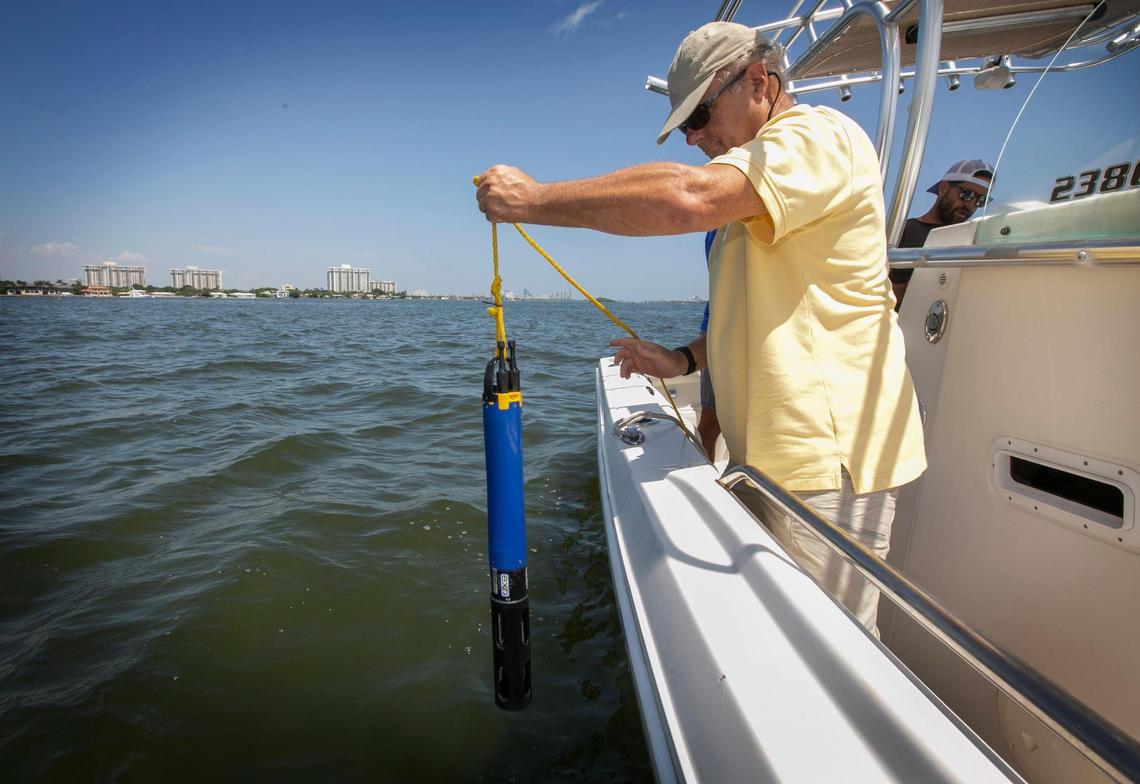 Chris Langdon, a professor at the University of Miami, is researching what causes dissolved oxygen levels to drop in the northern parts of Biscayne Bay, where fish kills happened two summers in a row.