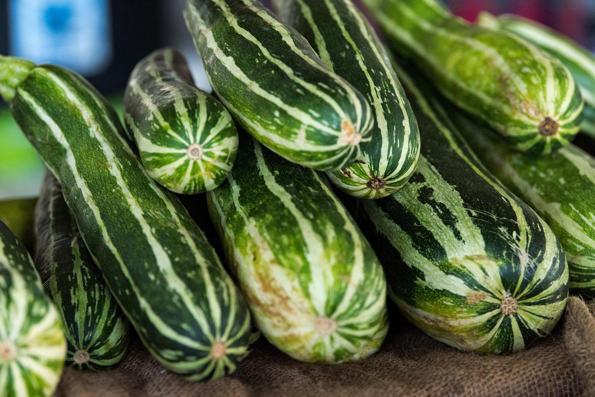 Zucchini