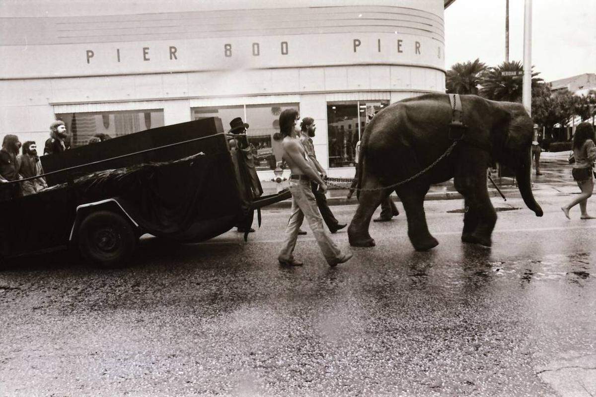 Protesters outside the 1972 Republican National Convention march with an elephant down Meridian Avenue in Miami Beach.