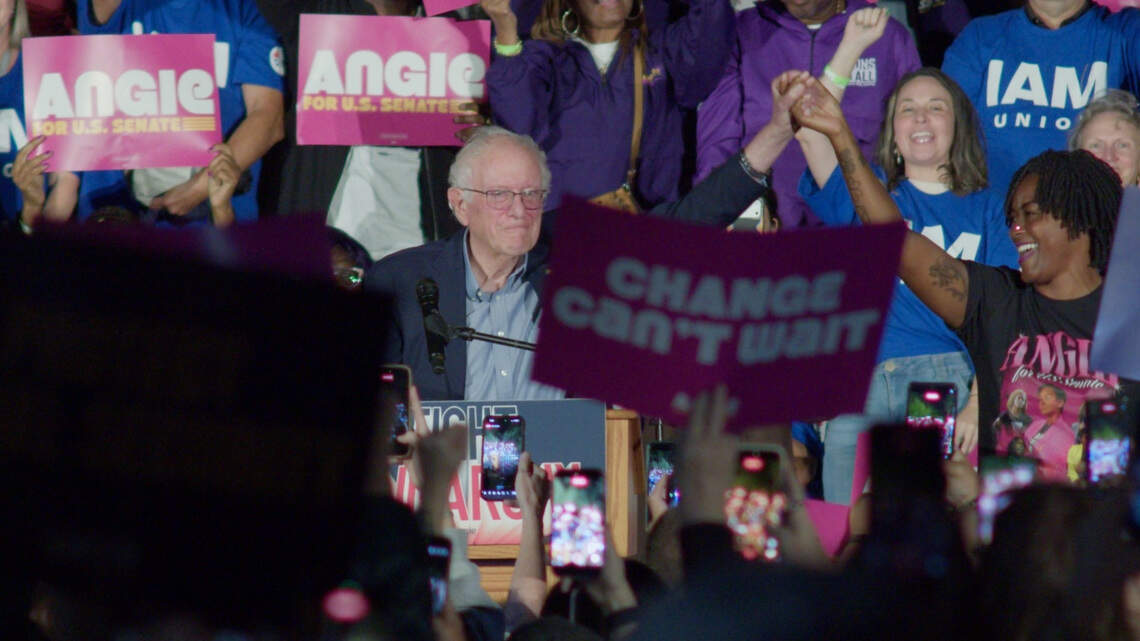 Nixon and Sanders push back against deluge of ‘socialist’ attack ads