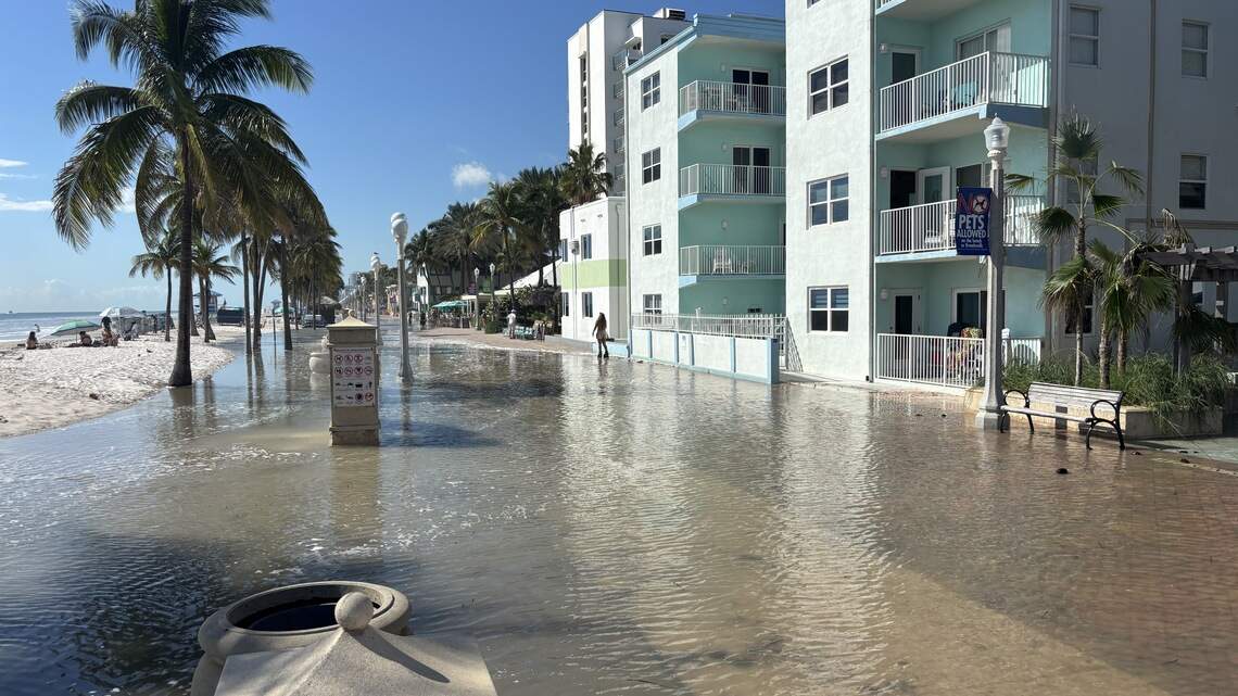 Vote ‘no’ on Florida’s Amendment 3. Our property taxes pay for clean water | Opinion