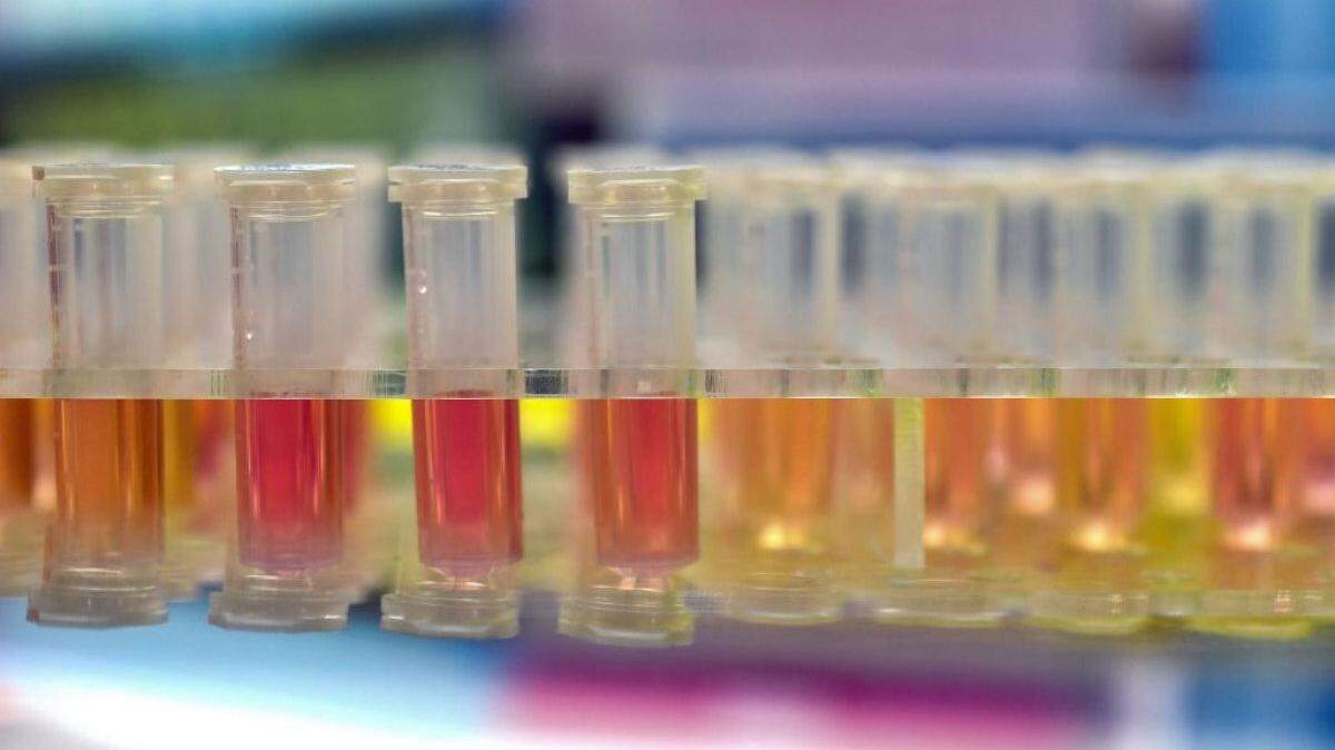 Most scientific research, except for coronavirus-related work, has come to a halt around the world.