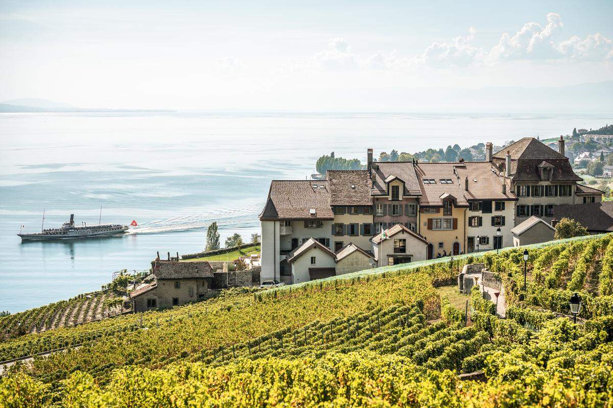 Sicht auf das Nachbardorf Riex vom Weinkeller von Blaise Duboux. View from the wine cellar of Blaise Duboux to the neighboring village Riex . Copyright by: Switzerland Tourism - By-Line: swiss-image.ch/Andre Meier