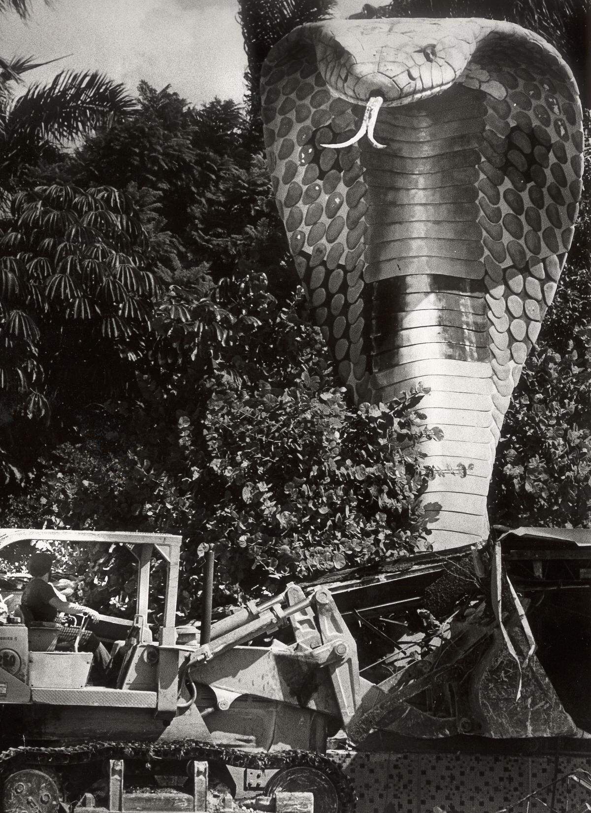 Demolition starts on the Serpentarium in 1984