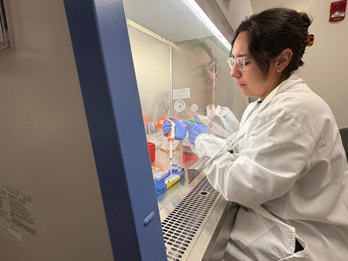 Adelaide Tovar, a postdoctoral geneticist at the University of Michigan, prepares cell samples in a science laboratory on campus. Tovar is one of about 200 young scientists who will lose research funding because the Trump administration abruptly ended the National Institute of Health’s MOSAIC grant program.