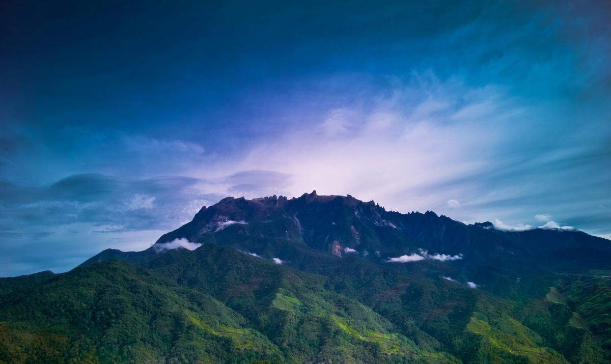 In the mountains streams of Indonesia, two new “fanged” creatures were discovered.