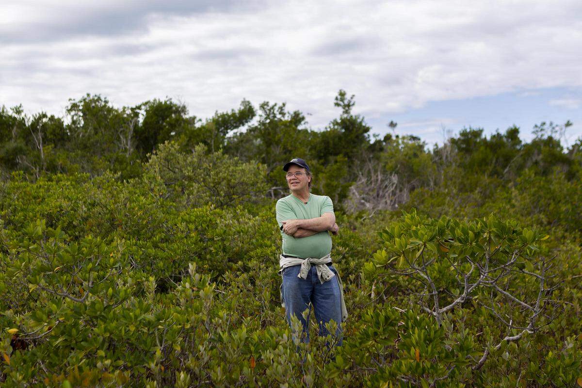 Michael Ross, a forest and landscape ecologist at Florida International University, surveys mangroves on Sugarloaf Key near Key West, Florida on Tuesday, December 18, 2018.