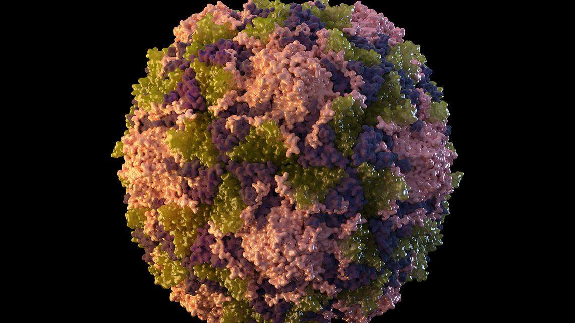 This 2014 illustration made available by the U.S. Centers for Disease Control and Prevention depicts a polio virus particle.