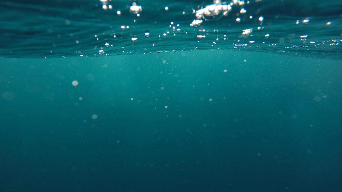 Scientists captured footage of a “rarely seen” deep-sea creature in the Pacific Ocean, according to the Schmidt Ocean Institute.