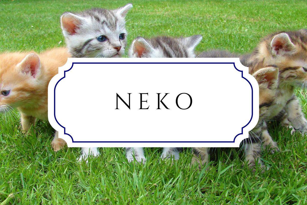 unique nature names neko