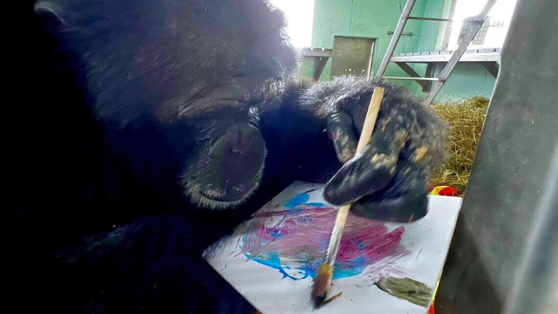There is an art show in Miami featuring works by chimps. And yes, celebs are buying