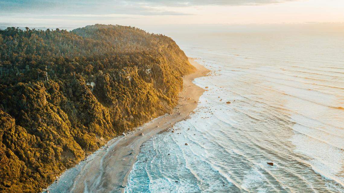 Along the western coast of New Zealand’s south island, a “predator-free” forest has acted as an oasis for a rare species.