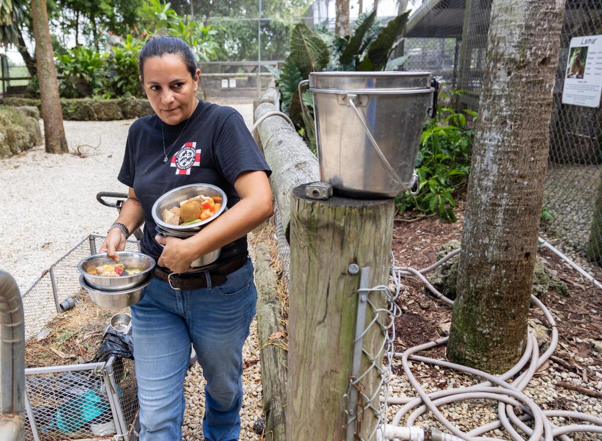 Martha Frassica-Rivera takes prepped food to enclosures to feed the lemur, foxes and bunnies on Aug. 7, 2023. “The lack of staff is hard on us, too, because it’s just really Amanda and I on a day-to-day basis,” she said.