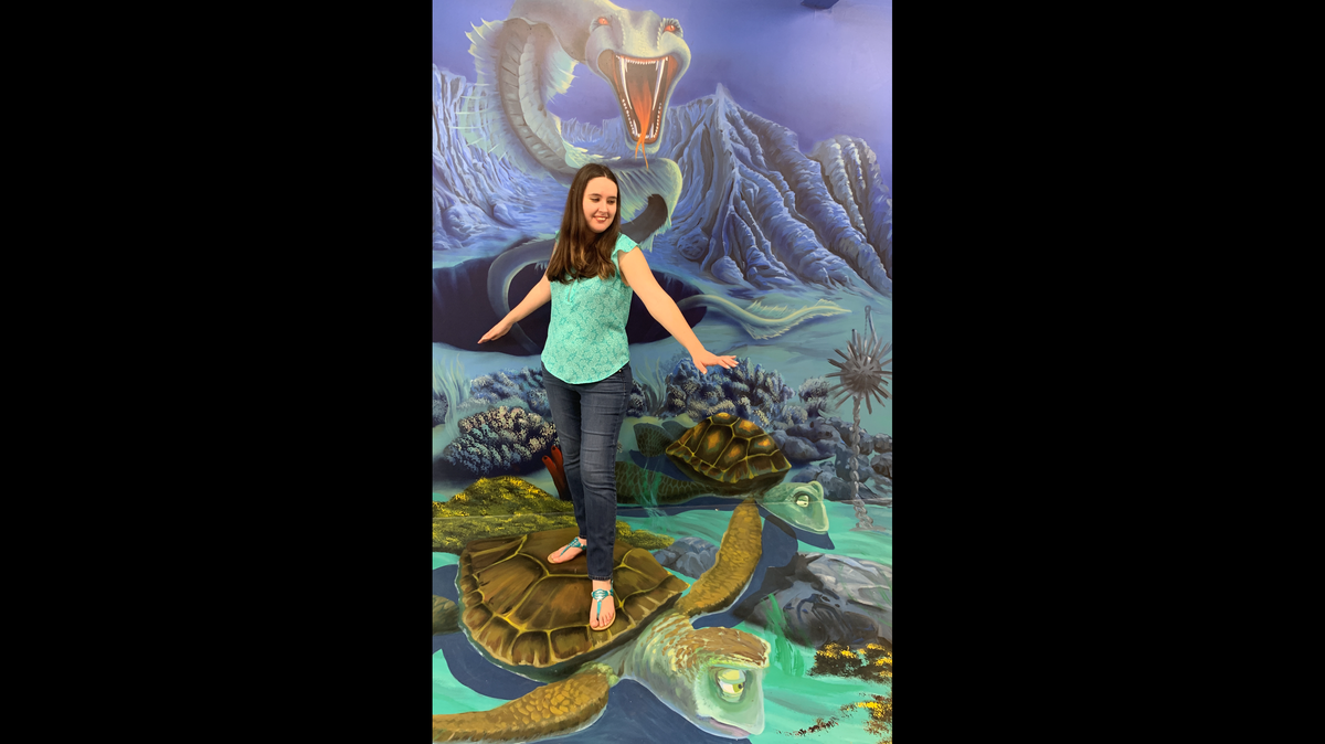 Pro Tip: Need a pose suggestion? Just look for a framed picture near the illusion. It’ll show you a recommended pose to help get your creativity flowing.