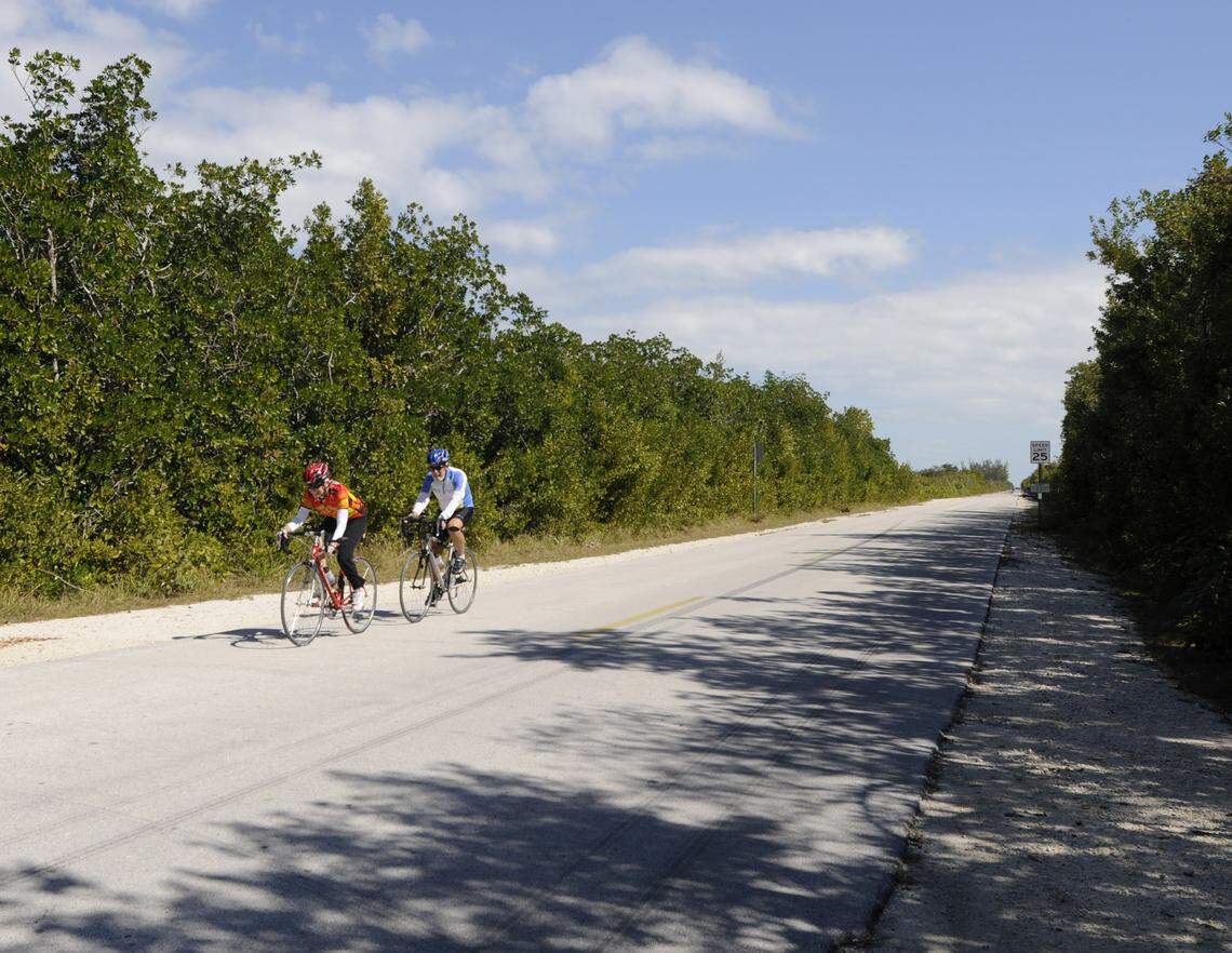 The main road on No Name Key is often only occupied by bicycles or Key deer.